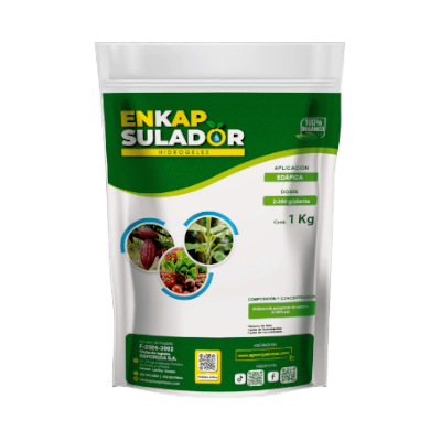 Enkapsulador